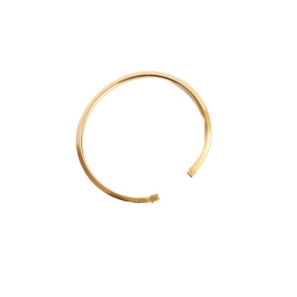 IMG_5018 Pulsera Esclava Carty I