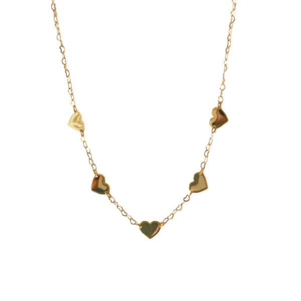 IMG_5797 Collar Coritin