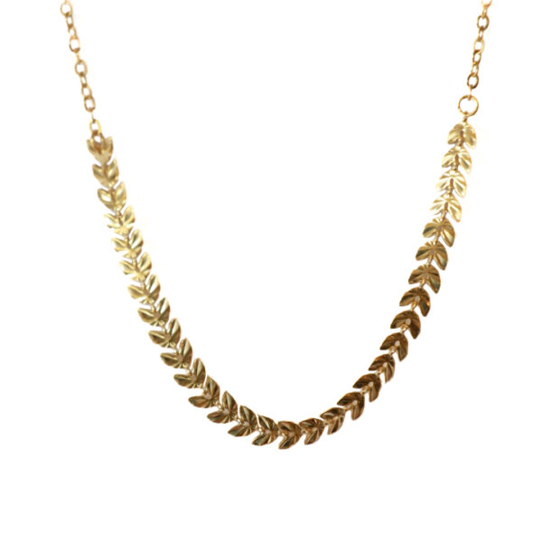 IMG_5798 Collar Espine