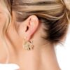 Aros Cuarel