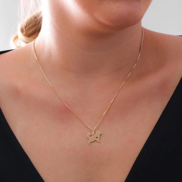 Imagen 176 Collar Pinty
