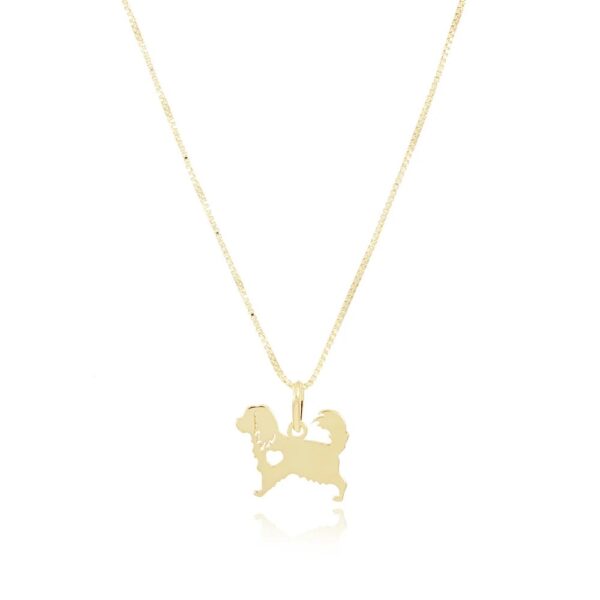 Imagen 177 Collar Pinty